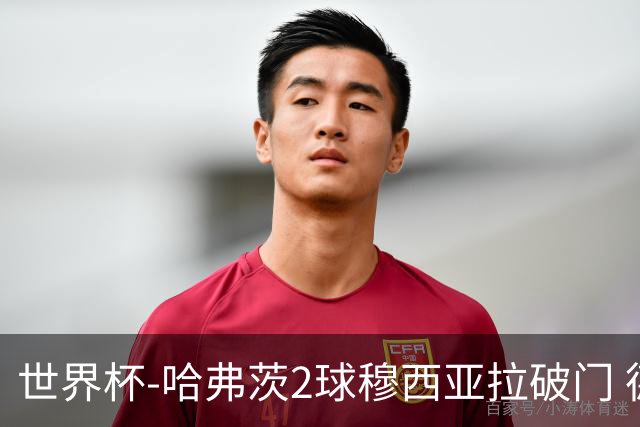 世界杯-哈弗茨2球穆西亚拉破门 德国全面开花7-1库拉索